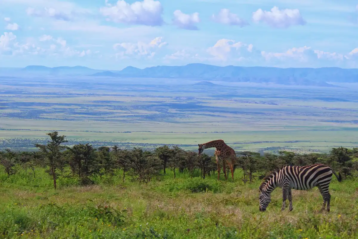 4 days 3 nights Tarangire, Serengeti and Ngorongoro crater 